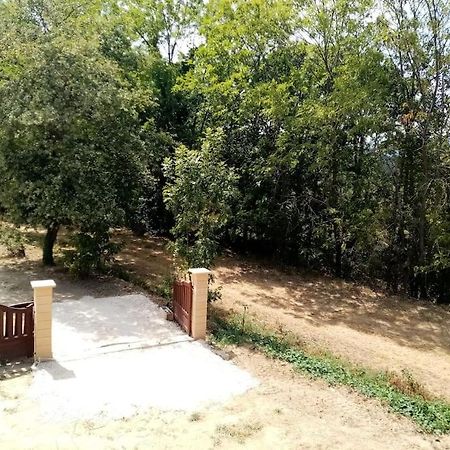 Chalet El Cant Dels Ocells Fillols Exterior photo